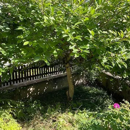 Amelie - Petite Maison Alsacienne *