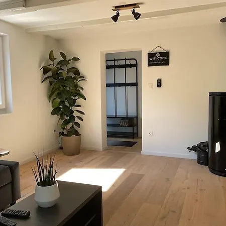 Amelie - Petite Maison Alsacienne 別荘 *