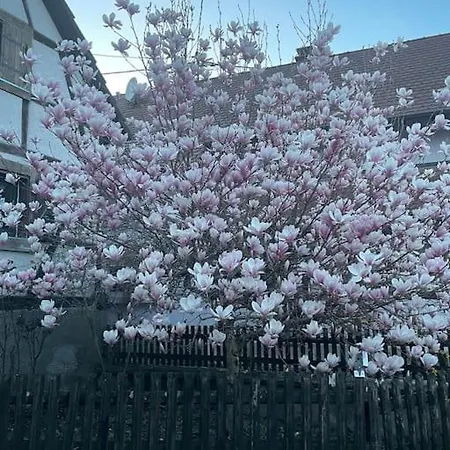 Amelie - Petite Maison Alsacienne 別荘