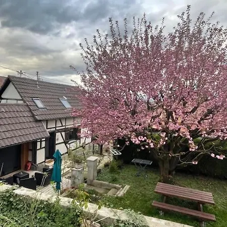 別荘 Amelie - Petite Maison Alsacienne *