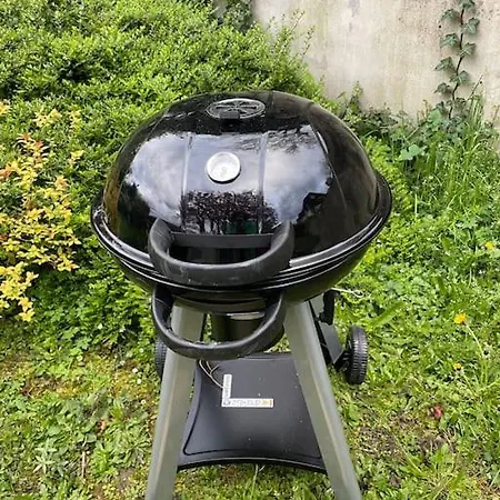 Amelie - Petite Maison Alsacienne ブロッツアイム